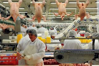 Po smrti uklízečky ve firmě z Agrofertu odhalila inspekce pochybení agentury. Ani po roce s ní nezahájila řízení - Novinky